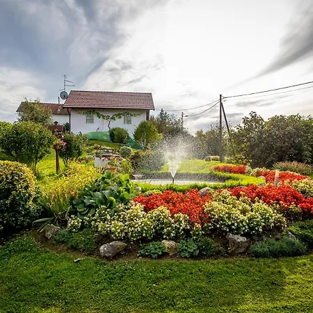 Kuca Za Odmor Martin Villa Sveti Martin Na Muri Exterior photo